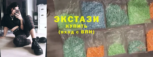 2c-b Ельня