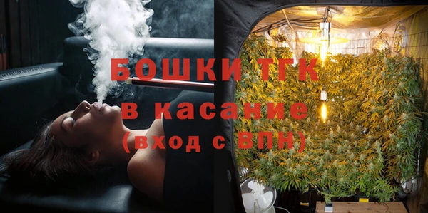 2c-b Ельня