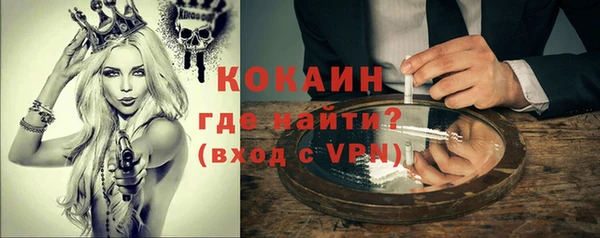 шишки Киров