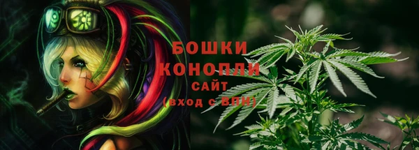 мдма Дмитриев
