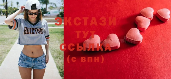 2c-b Ельня