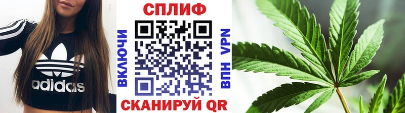закладка  Полтавская  Каннабис THC 21% 
